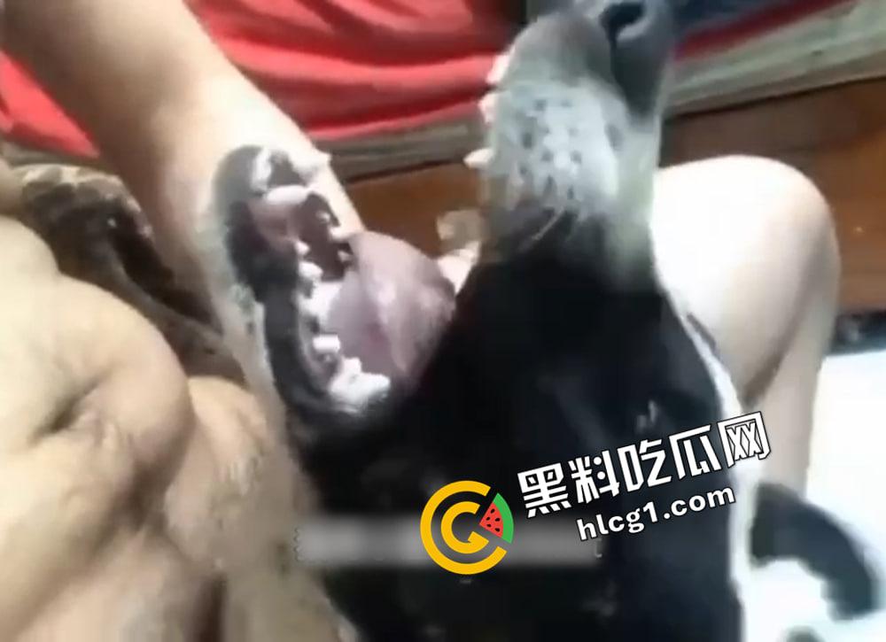 变态人兽!逆天已经无法形容这群人了 兔子飞机杯 鲤鱼阳具 狗都要开发肛门-2