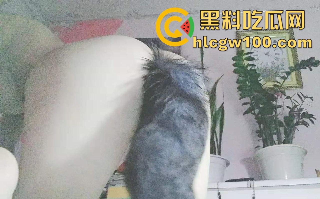 南通实验中学高三学生【宋倩】偷情视频曝光,课余时间厕所口交大战,主打一个刺激!-13