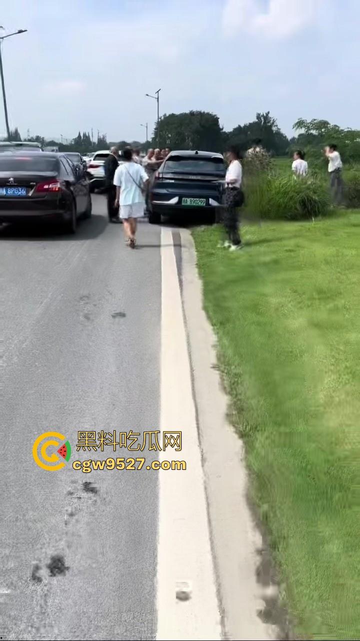 成都极氪撞护拦事故，严重的交通事故安全气囊居然没有弹出来，完全失去自救的机会，买极氪的朋友要注意啦！