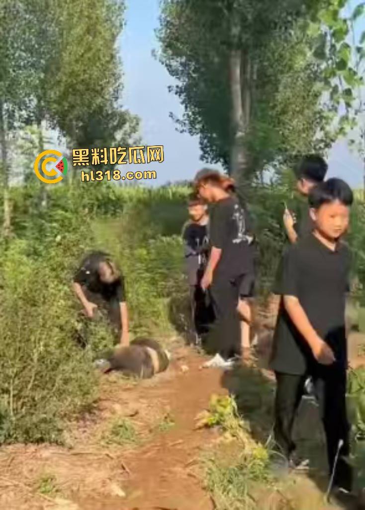 河北邢台精神小伙们因男生考试不给抄答案直接拉到树林旁暴揍,一旁拍照女生还说好帅啊!-4
