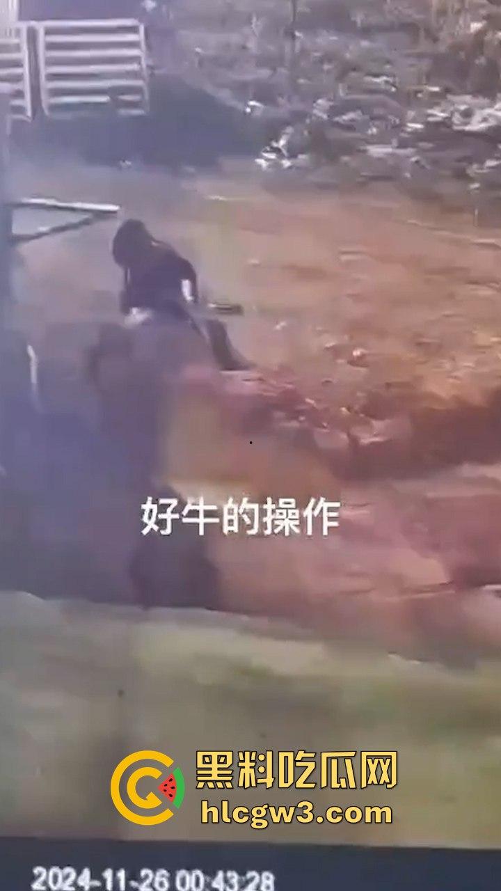 真实操兽:饥渴小哥不吹牛逼操牛逼 拔屌暴插大母牛 省钱免费逼还大 论狠人你是第一人!-2