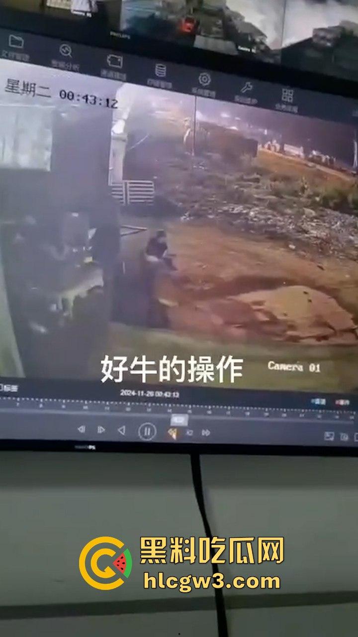 真实操兽:饥渴小哥不吹牛逼操牛逼 拔屌暴插大母牛 省钱免费逼还大 论狠人你是第一人!-5