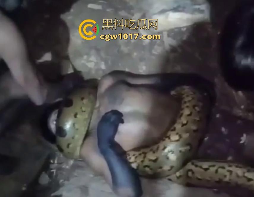 印度醉汉被巨蟒缠绕绞杀,骨骼咔咔断裂脸黑如炭,俩亲兄弟把蟒蛇抬走说喝点恒河水能活,这都黑了还能救?-3