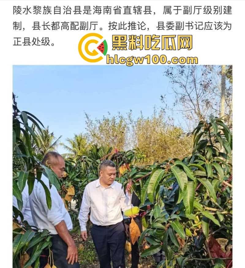 抖音【程度】本名【程学申】实名举报海南省陵水县县委副书记兼政法委书记【肖峰】，长期和他老婆【陈思月】保持不正当性关系！