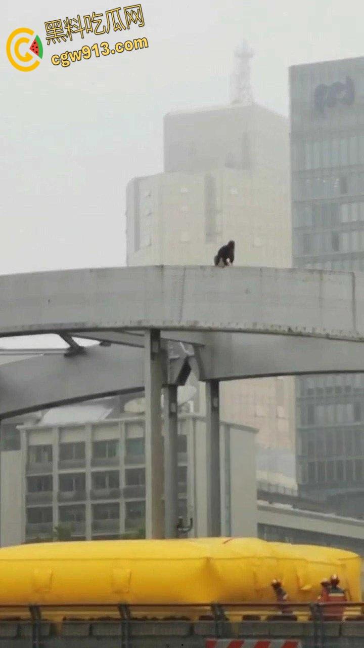 宁波一男子抛妻弃子,净身出户出轨怀孕四月女主播,结果女主播要分手,万念俱灰跳桥 !-6