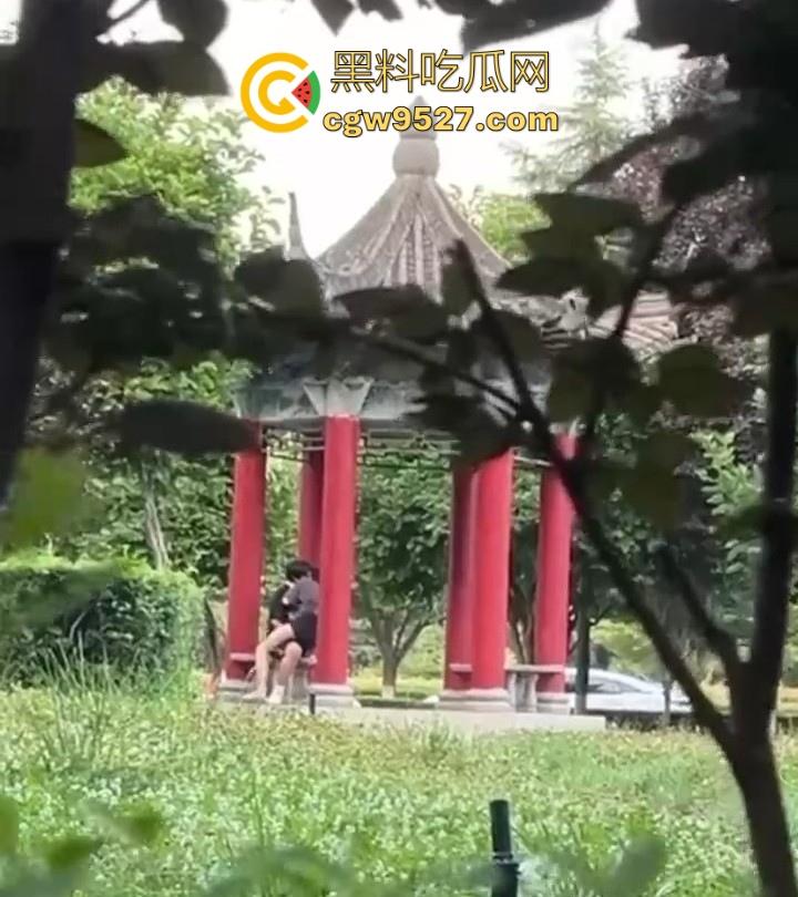 西安医学高等专科学校凉亭瓜!学生情侣大白天在凉亭里面激情骑乘,狂扣骚逼,大白天上演活春宫图!-3