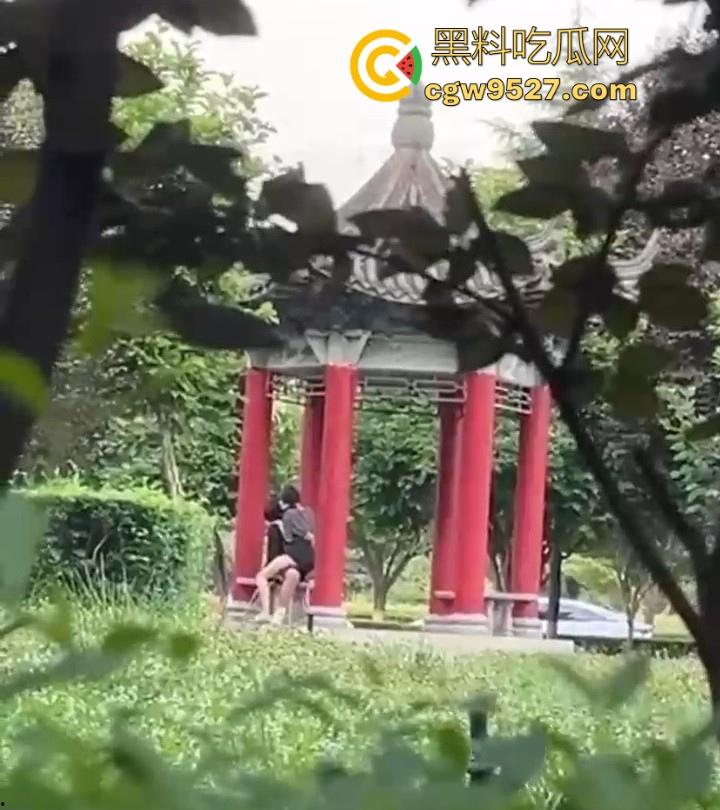 西安医学高等专科学校凉亭瓜!学生情侣大白天在凉亭里面激情骑乘,狂扣骚逼,大白天上演活春宫图!-4