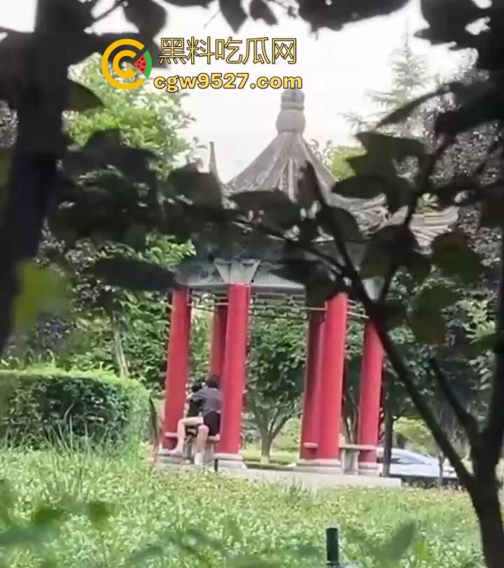 西安医学高等专科学校凉亭瓜!学生情侣大白天在凉亭里面激情骑乘,狂扣骚逼,大白天上演活春宫图!-5