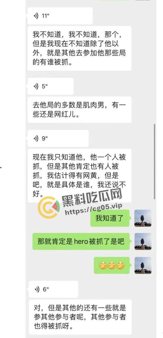 京圈大瓜!京圈名妓【hero】组织近两年最大男同淫趴 参与者一百多名 因几把太小被举报 抓捕40多名参与者-5