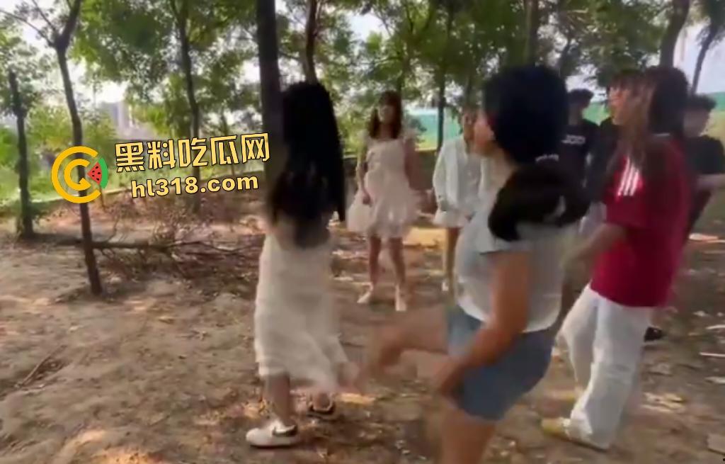 河南树林惊爆霸凌事件！精神小伙小妹群殴弱女，用手打还嫌手痛，最后直接用脚踹，腰都快要闪到了！-6