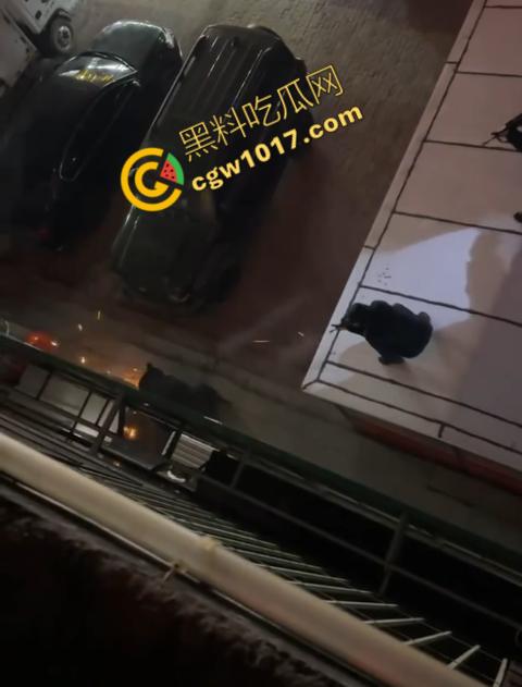 惊讶!宝清市街头惊现巨熊,警察开枪击毙,血洒街头,网友热议动物保护与城市安全!-5