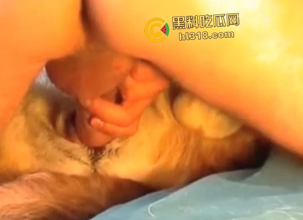 狂野男人与忠犬上演人兽激情!人与狗交欢,传教士式把狗压在身体下,这才是真的操母狗!-2