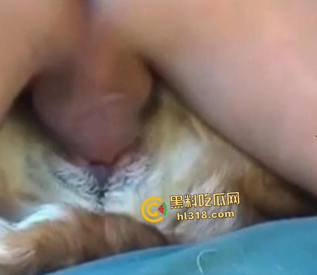 狂野男人与忠犬上演人兽激情!人与狗交欢,传教士式把狗压在身体下,这才是真的操母狗!-7